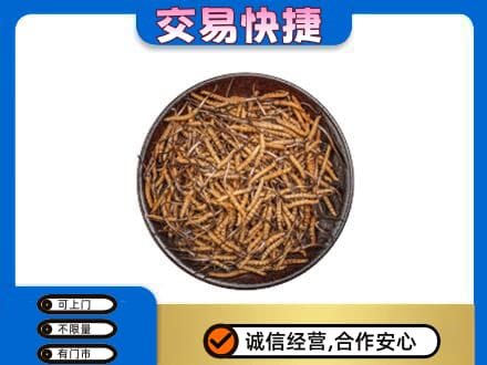 琼海市回收散虫草